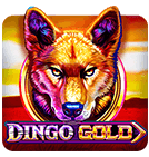 fun card rummy apk