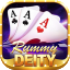 rummy disclaimer