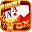 rummy rules joker points